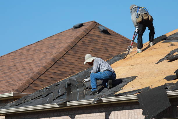 Best Solar Panel Roofing Installation  in Manistique, MI