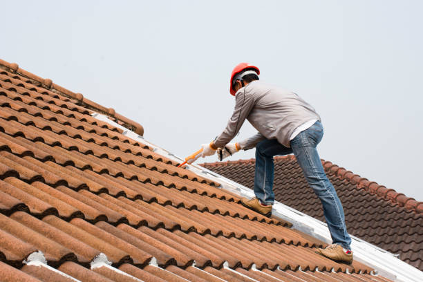 Best Metal Roofing Installation  in Manistique, MI