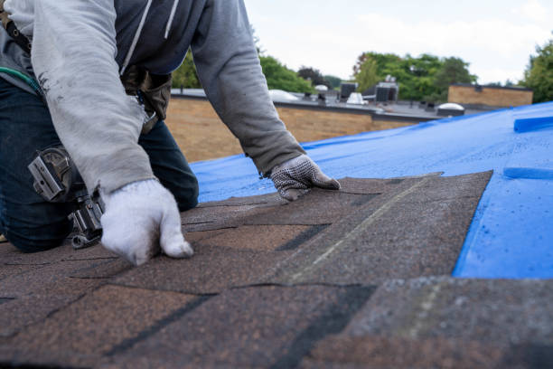 Best Roof Leak Repair  in Manistique, MI