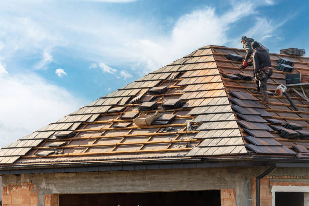 Best Roof Insulation Installation  in Manistique, MI