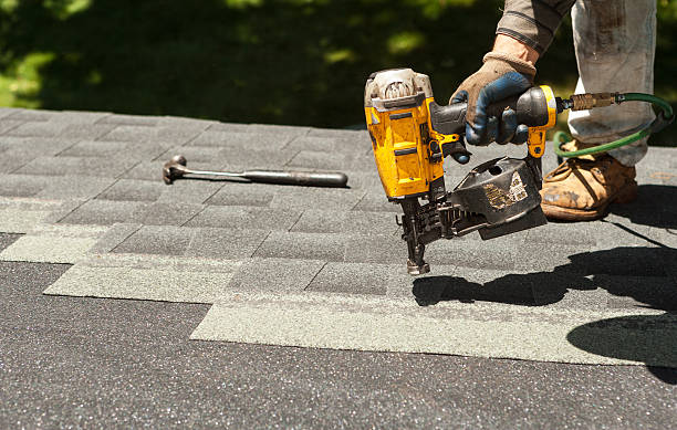 Best Roof Maintenance and Cleaning  in Manistique, MI