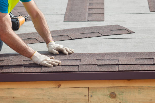 Best Storm Damage Roof Repair  in Manistique, MI